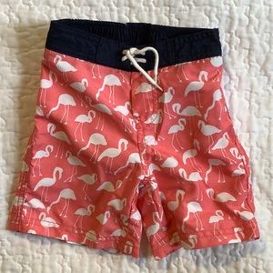 Janie & Jack boys flamingo swim trunk, 18-24 mo
